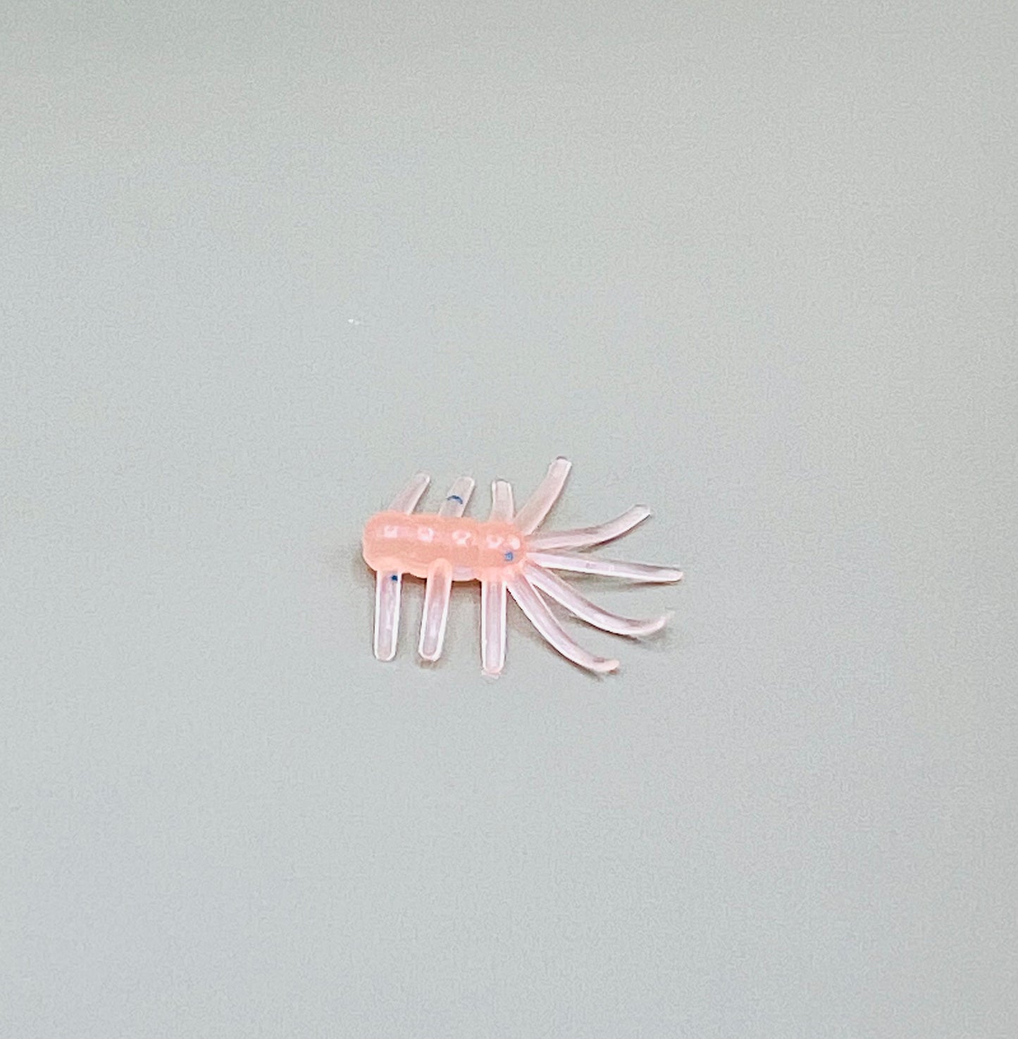 Ice Bug
